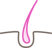 Asset 80